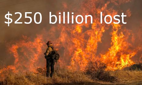 The Real Cost of Climate Action