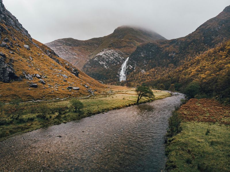 Rewilding Nature